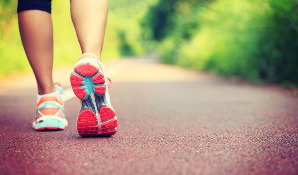 A runner's legs on a forest path
